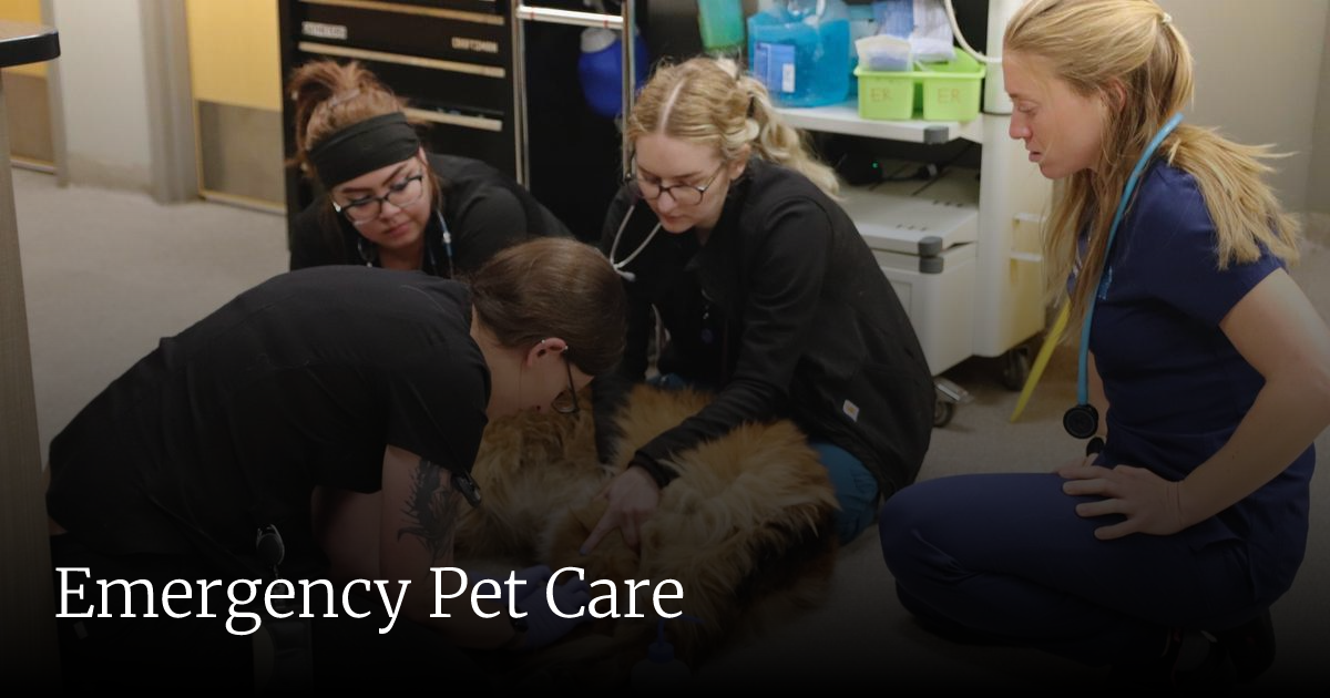 Wheat Ridge Animal Hospital