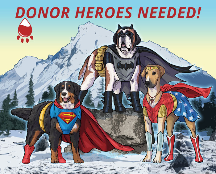 Blood Bank - Donor Heroes Needed!