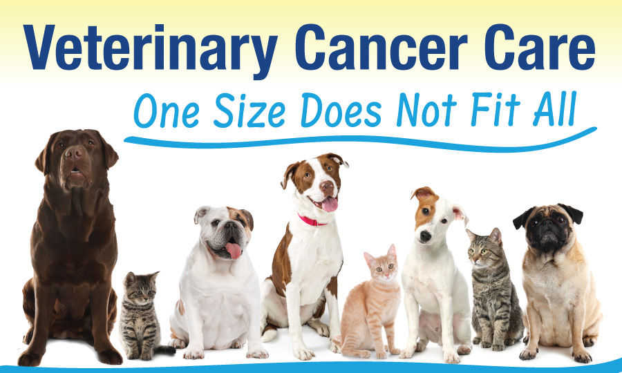 Group of Dogs and Cats - Veterinary Cancer Care: One Size Does Not Fit All