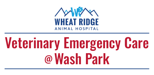 Veterinary Emergency Care @ Wash Park