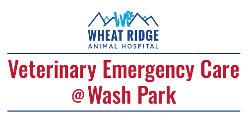 Veterinary Emergency Care