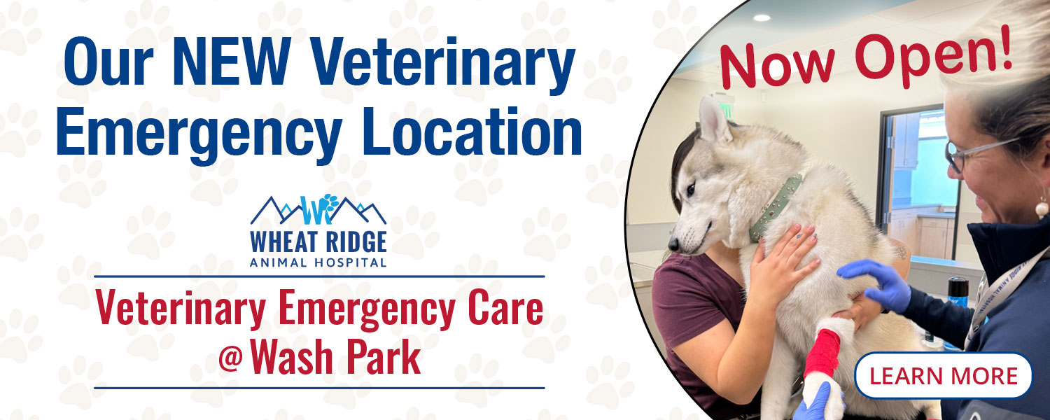 Veterinary Emergency Care at Wash Park is Open!
