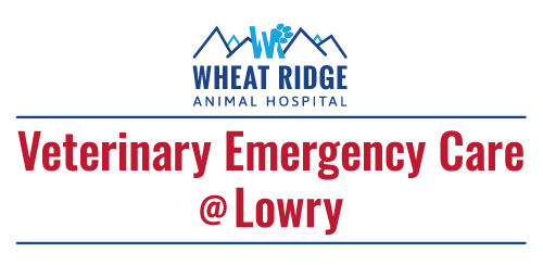 Veterinary Emergency Care @ Lowry