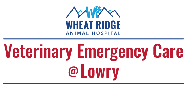 Veterinary Emergency Care @ Lowry