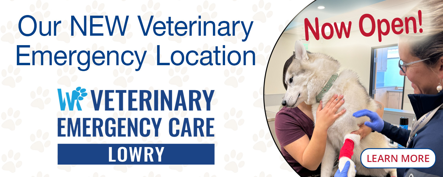 Our Newest Emergency Location: Veterinary Emergency Care Lowry